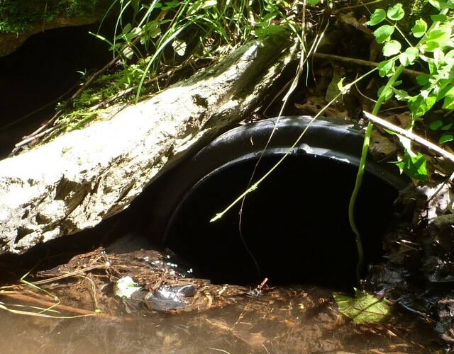 Amélioration et restauration des traverses de cours d'eau des Etchemins